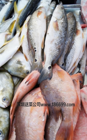 惠州農(nóng)產(chǎn)品配送?中心與您分享：淡水魚(yú)和海魚(yú)的營(yíng)養(yǎng)差別!