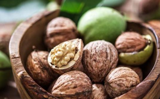 為什么核桃被稱為“長壽果”？東莞生鮮食材配送中心告訴你