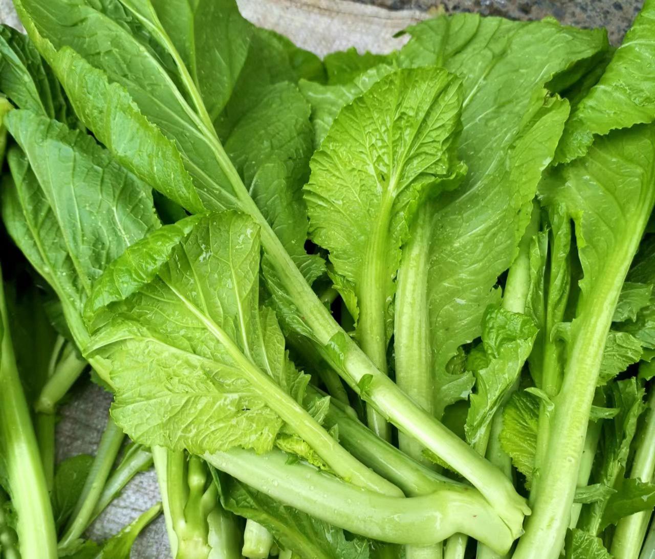 深圳蔬菜配送公司科普：為什么冷凍蔬菜不宜反復(fù)解凍冷凍？